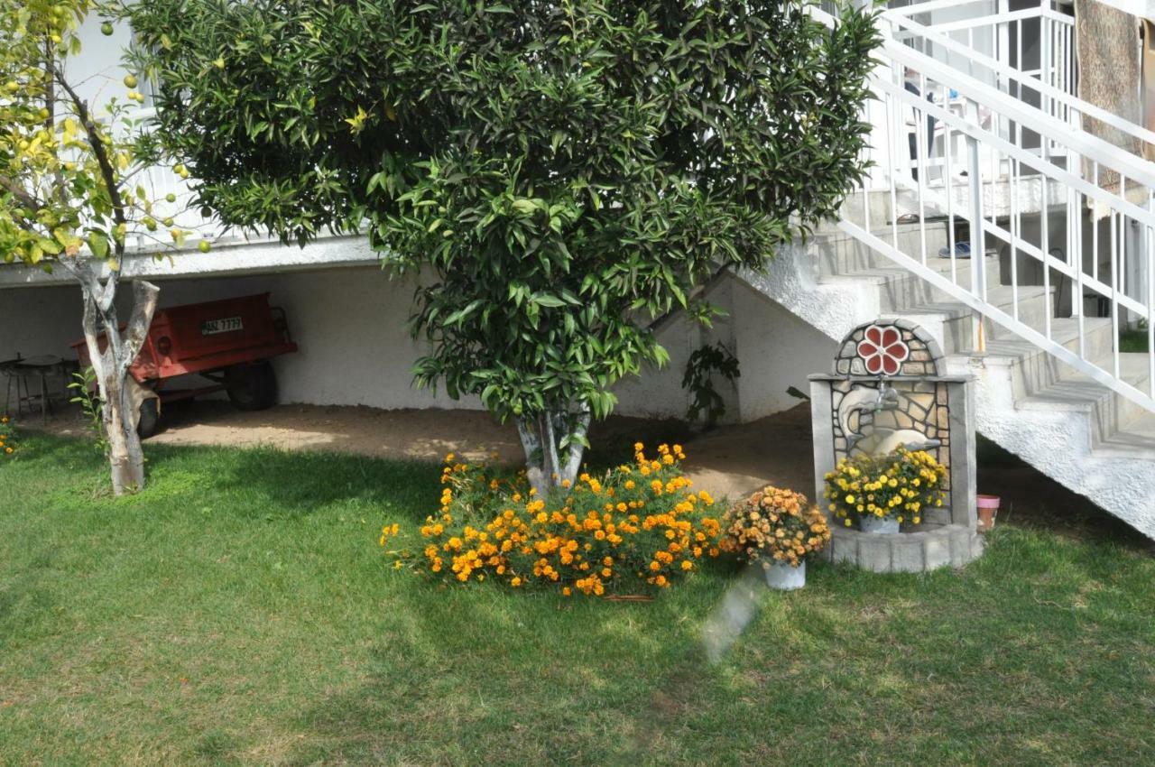 Despina Apartment Κεραμωτή Εξωτερικό φωτογραφία